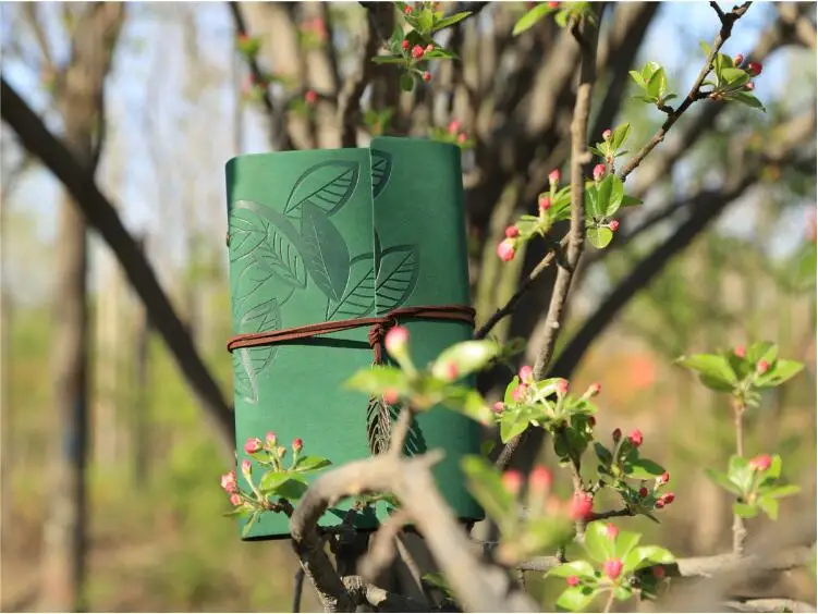 7 Inch 18.5x12.5cm PU Leather Vintage Khaki Paper Maple Leaf Photo Album Diary Notebook 80 Sheets Steel Ring Binding Lron Leaves 47