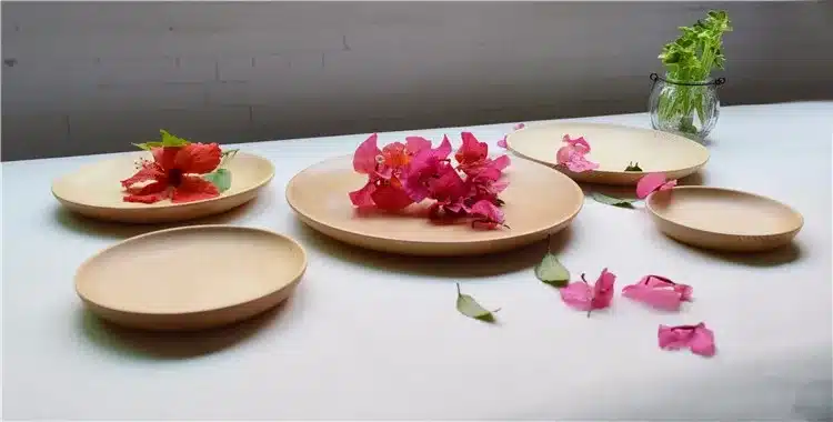 Round Wooden Dinner Plate Party Serving Tray Small Dishes Cake Plate Fir Wood Tableware Kitchen Accessories Japan Style 10
