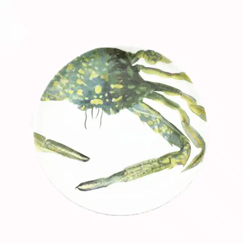 Special Ocean Animals Edible Hand-painted Falt Plate Ceramic Dinner Dish Cartoon Porcelain Dinnerware Decoration Dinner Plate 21