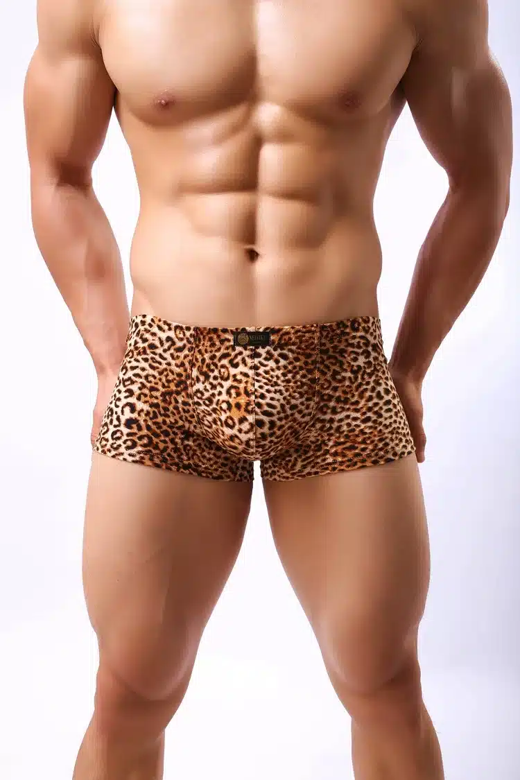 Mens Underwear Boxers Sexy Underwear Men's Leopard Shorts Slip Homme Panties For Men Brand Underpants Cueca Boxer Boxershorts 10