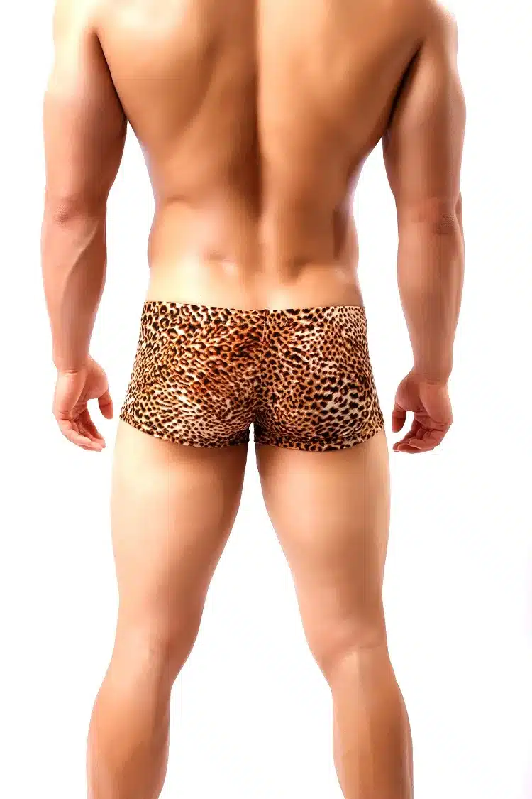 Mens Underwear Boxers Sexy Underwear Men's Leopard Shorts Slip Homme Panties For Men Brand Underpants Cueca Boxer Boxershorts 13