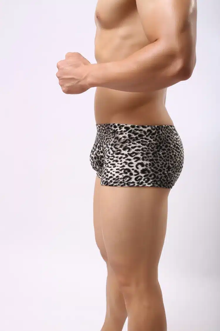 Mens Underwear Boxers Sexy Underwear Men's Leopard Shorts Slip Homme Panties For Men Brand Underpants Cueca Boxer Boxershorts 15