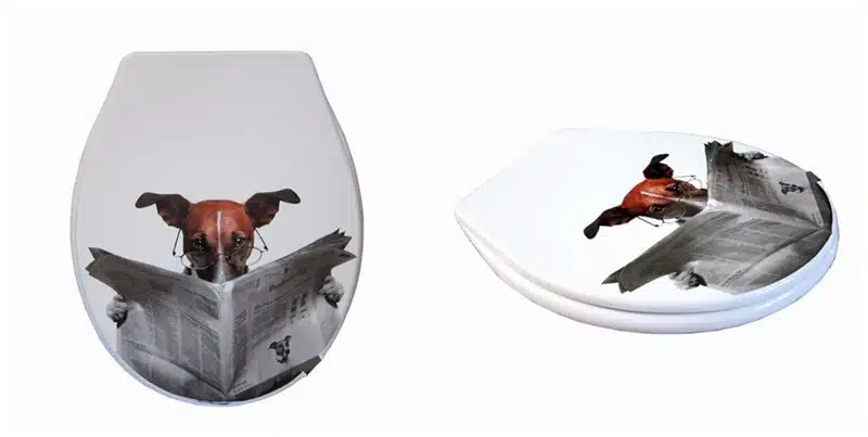 toilet lid cover standard closing 2017 high quality colorful toilet seat cover set hot selling fashion bathroom pp toilet seat 15