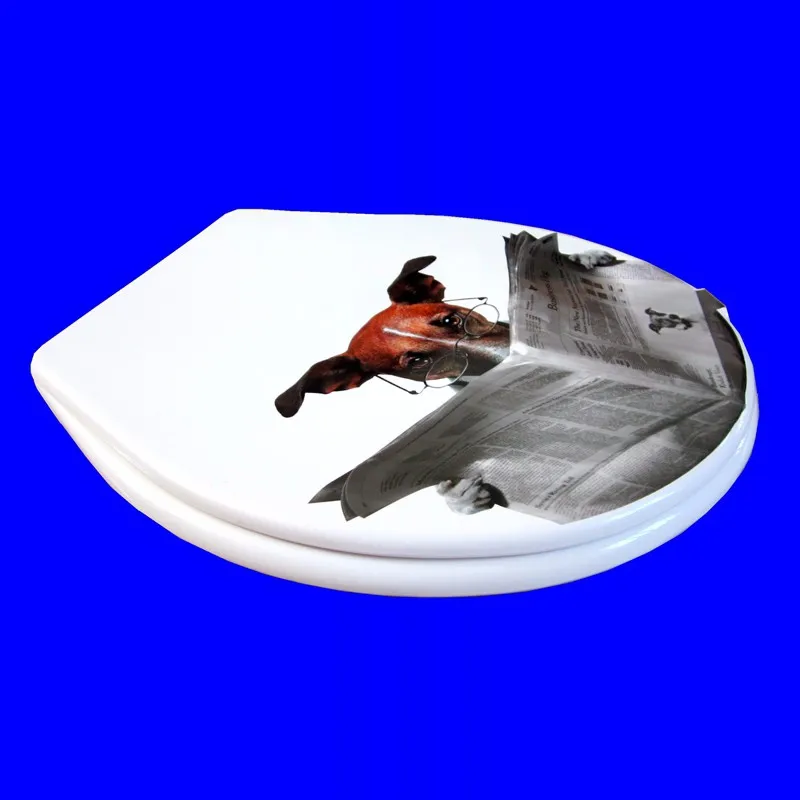 toilet lid cover standard closing 2016 high quality colorful toilet seat cover set hot selling fashion bathroom pp toilet seat 12