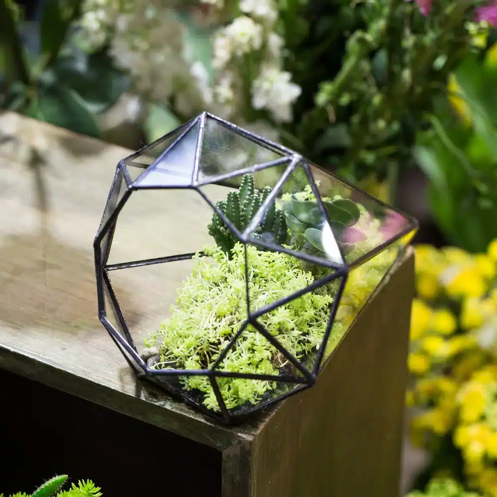 Handmade Glass Terrarium Geometric Succulents Planter Indoor Plant Flowerpot Octahedral Tabletop Bonsai Pot Garden Decoration 10