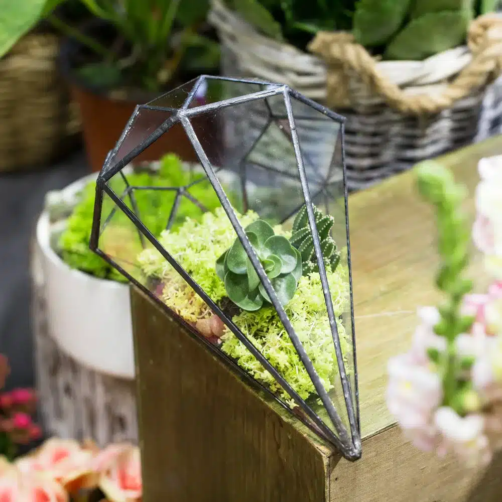 Handmade Glass Terrarium Geometric Succulents Planter Indoor Plant Flowerpot Octahedral Tabletop Bonsai Pot Garden Decoration 12