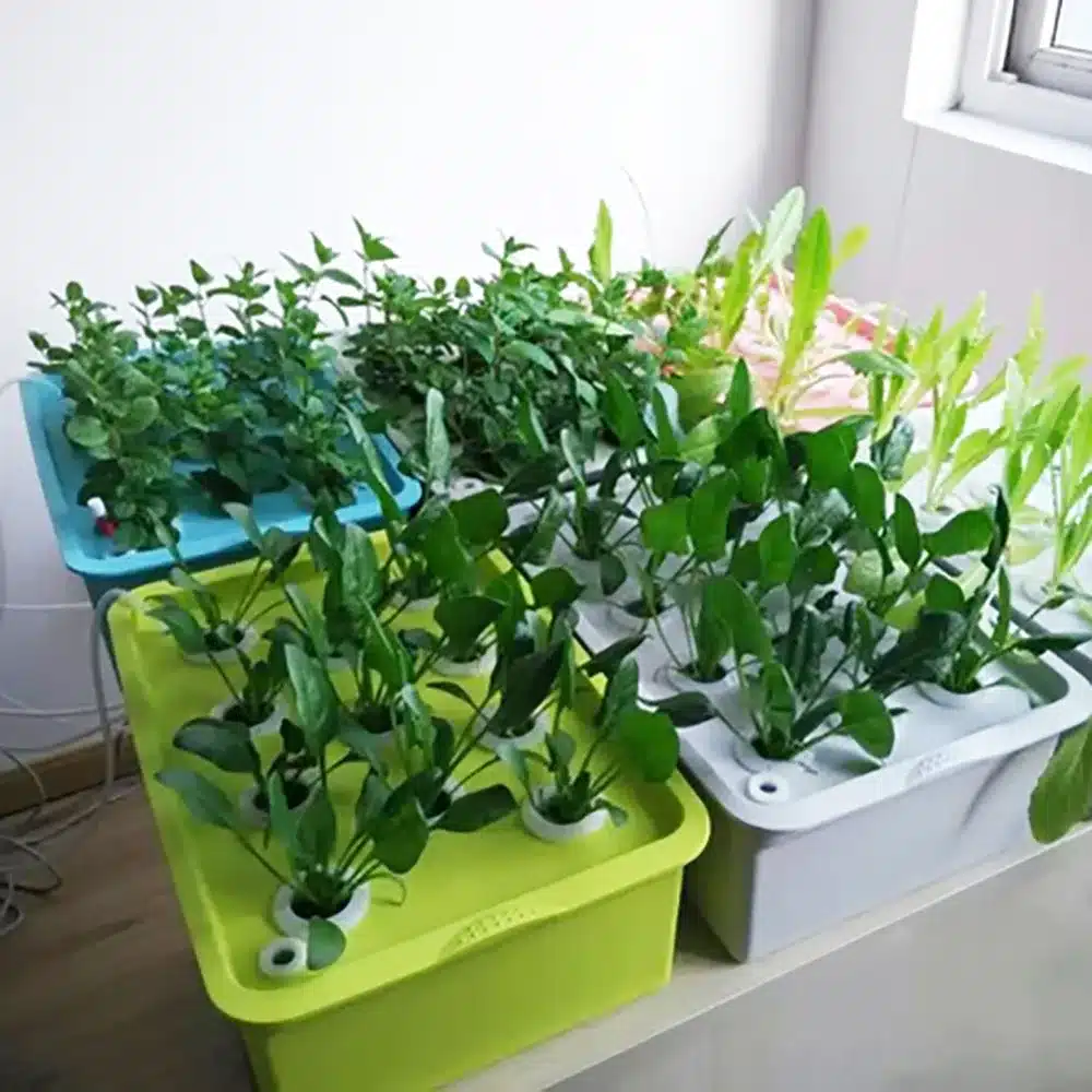6 Holes Plant Site Hydroponic System Indoor Garden Cabinet Box Grow Kit Bubble Garden Pots Planter Nursery Pot 220V/110V 1 Set 8