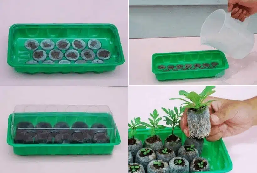 50 Count 38mm Jiffy Peat Pellets Seed Starting Plugs Seeds Starter Plant Nursery Pots Early Jeffy Soil Garden Pots & Planters 9