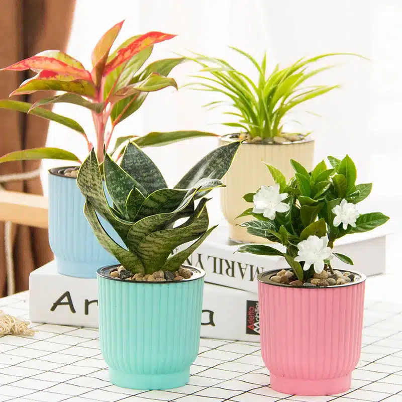 WHISM Plastic Self-watering Flower Pot Indoor Green Plant Pot Desktop Garden Pots Automatic Water Absorption Flower Planter 14