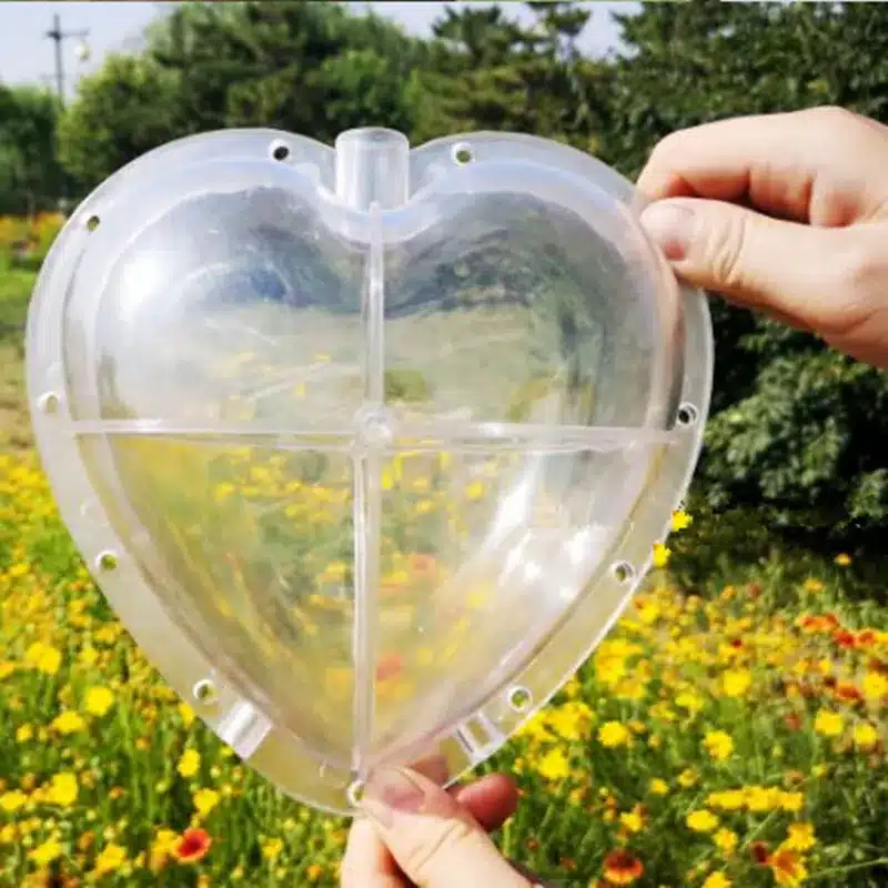 WHISM Big Size Plastic Clear Heart Square Watermelon Growing Mold Transparent Fruit Growth Forming Shaping Mould Garden Supplier 12