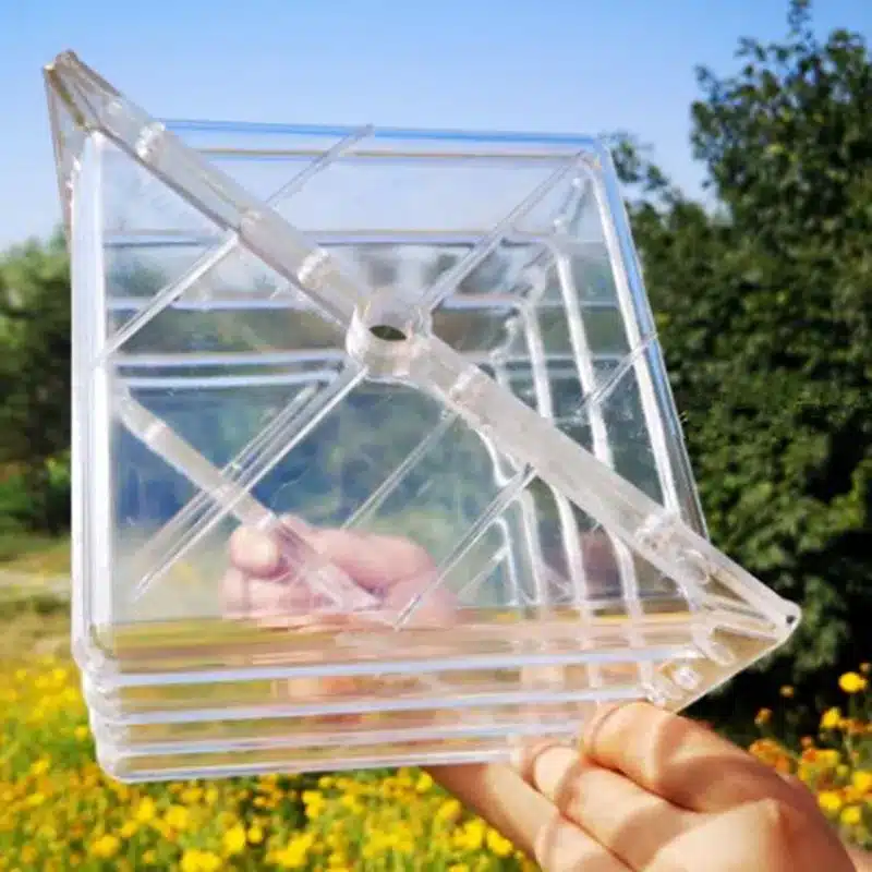 WHISM Big Size Plastic Clear Heart Square Watermelon Growing Mold Transparent Fruit Growth Forming Shaping Mould Garden Supplier 17