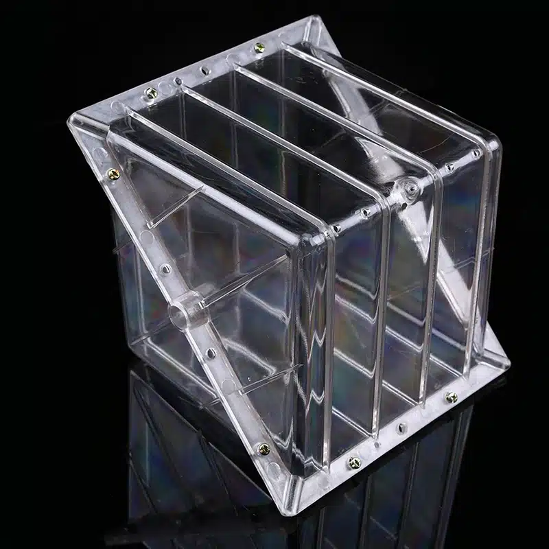 WHISM Big Size Plastic Clear Heart Square Watermelon Growing Mold Transparent Fruit Growth Forming Shaping Mould Garden Supplier 21