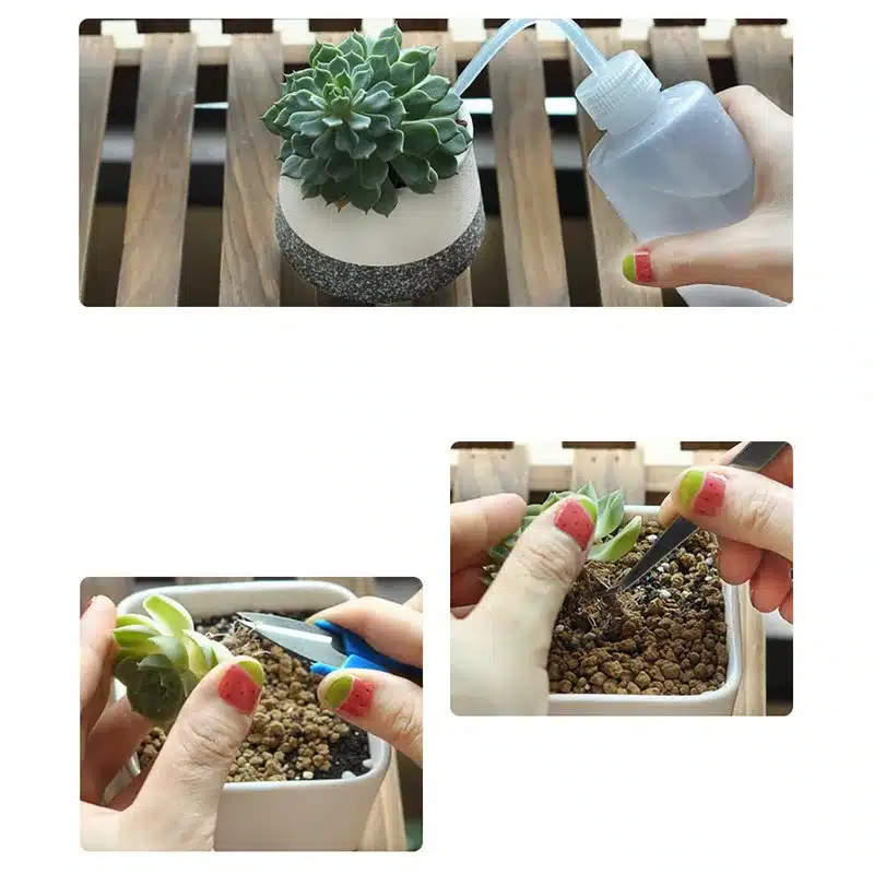 14 Pieces Transplanting Tools Mini Garden Hand Tools Succulent Tools Miniature Planting Gardening Tool Set 6