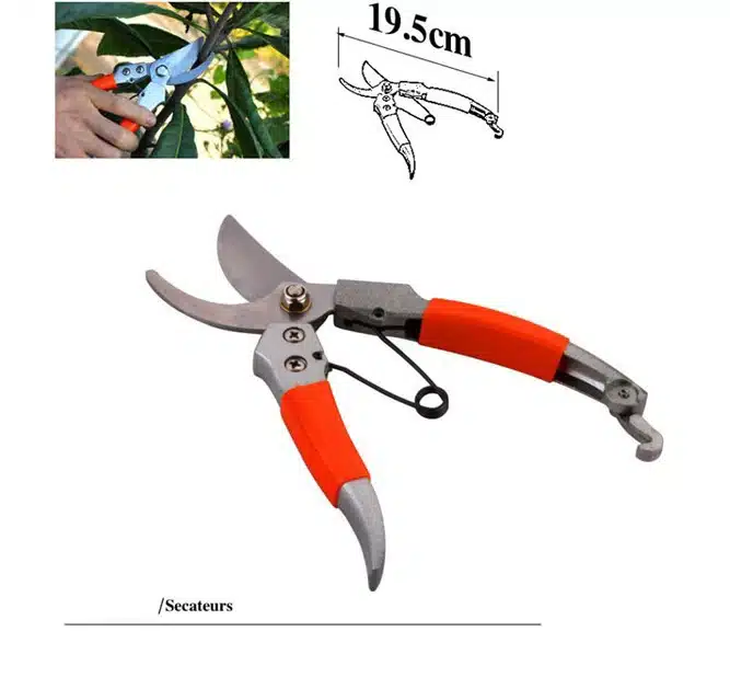 Garden Tools Bonsai Tools Set Grafting Scissors Outdoor Fruit Picker Tuingereedschap Garden Tool Shovel Gardening Tools 9