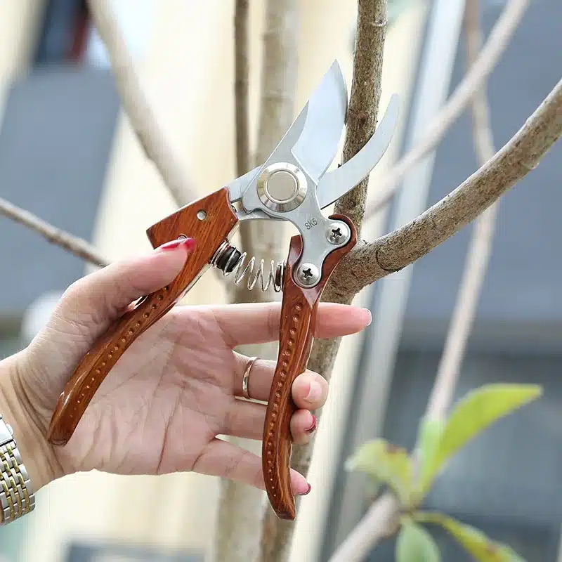 Garden Tools Convenient Telescopic Spring Type Potted Pruning Shears Safe Labor-Saving Metal Scissors To Send Friends Neighbors 14