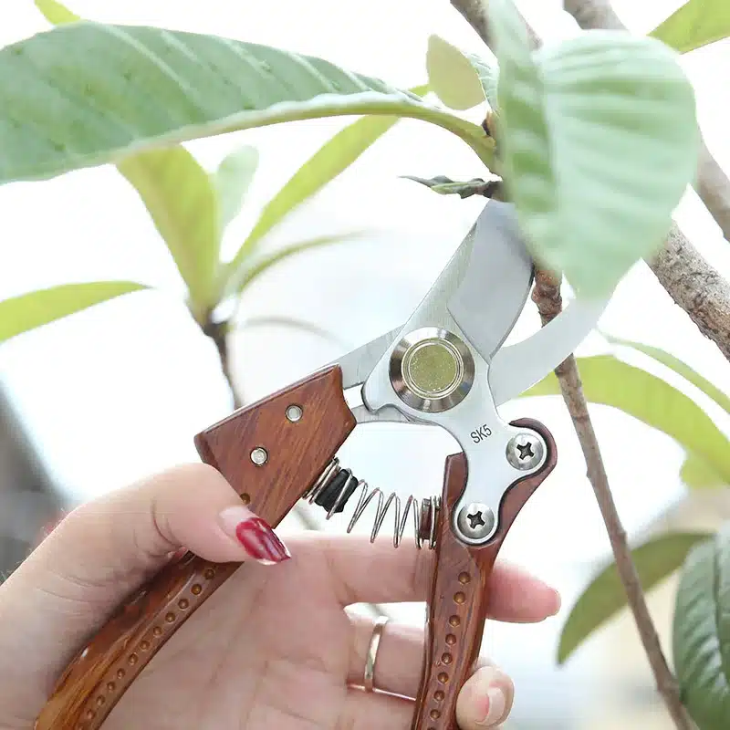 Garden Tools Convenient Telescopic Spring Type Potted Pruning Shears Safe Labor-Saving Metal Scissors To Send Friends Neighbors 15