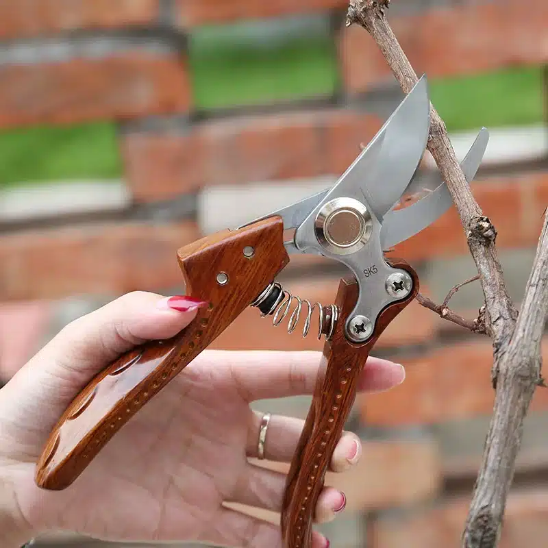 Garden Tools Convenient Telescopic Spring Type Potted Pruning Shears Safe Labor-Saving Metal Scissors To Send Friends Neighbors 16
