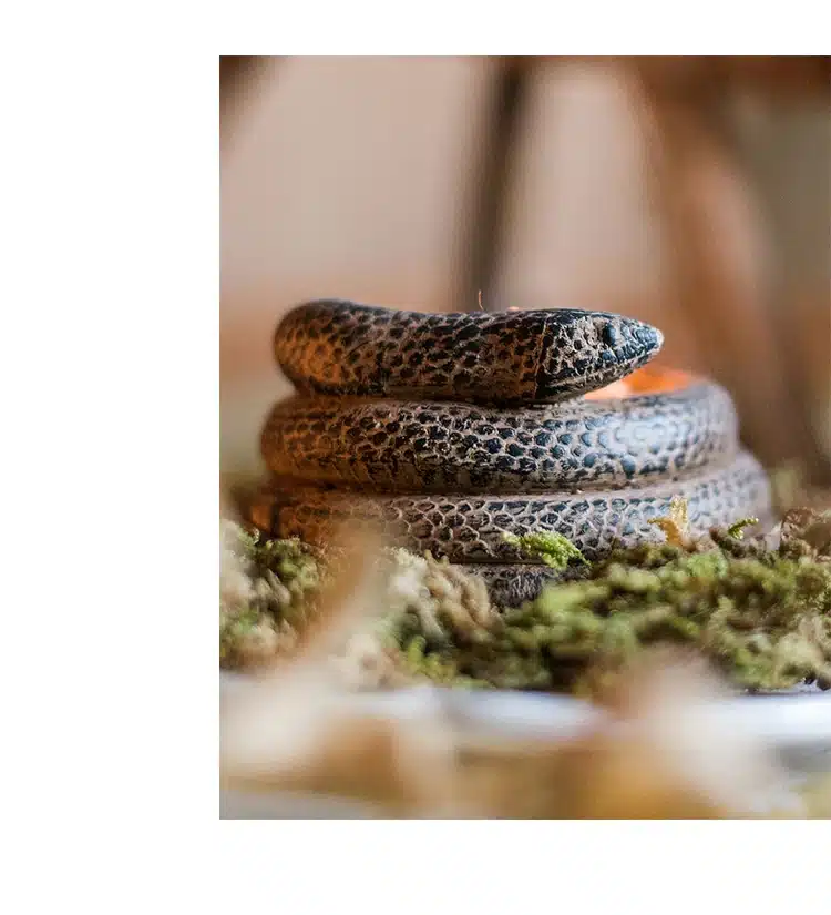 snake design distressed concrete decorative tea light candle holders 10