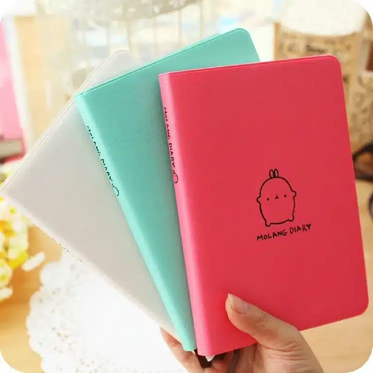 "Molang Rabbit" Cute 2019 Monthly Weekly Planner Agenda Organizer Faux Leather Diary Journal Study Notebook 17