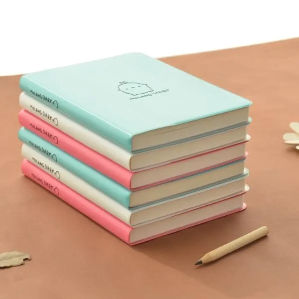"Molang Rabbit" Cute 2019 Monthly Weekly Planner Agenda Organizer Faux Leather Diary Journal Study Notebook 18