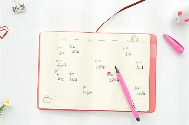 "Molang Rabbit" Cute 2019 Monthly Weekly Planner Agenda Organizer Faux Leather Diary Journal Study Notebook 26