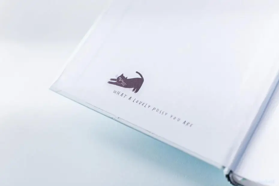 2019 Korean Kawaii Cute Cat Home Daily Schedule Personal Planner Organizer Notebook Agenda Planbook A5 Best For Student Gift 13