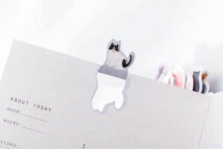 2019 Korean Kawaii Cute Cat Home Daily Schedule Personal Planner Organizer Notebook Agenda Planbook A5 Best For Student Gift 16