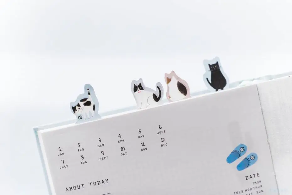 2019 Korean Kawaii Cute Cat Home Daily Schedule Personal Planner Organizer Notebook Agenda Planbook A5 Best For Student Gift 21