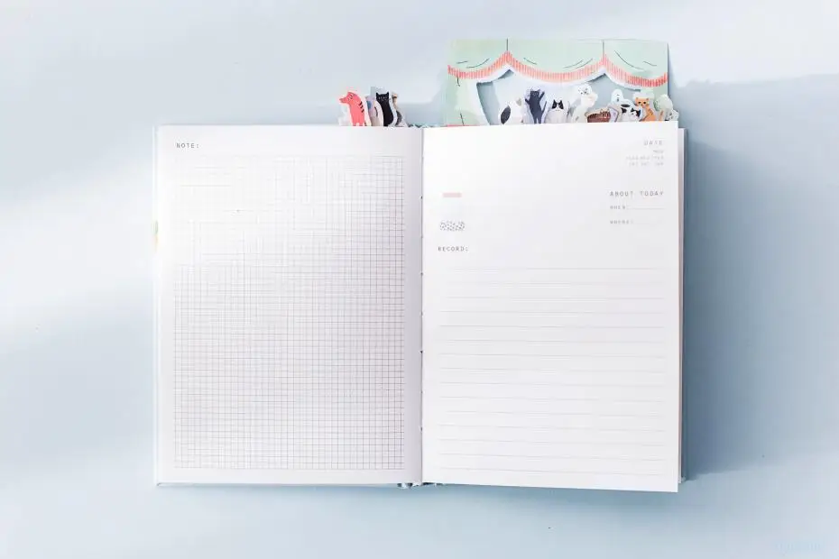 2019 Korean Kawaii Cute Cat Home Daily Schedule Personal Planner Organizer Notebook Agenda Planbook A5 Best For Student Gift 32