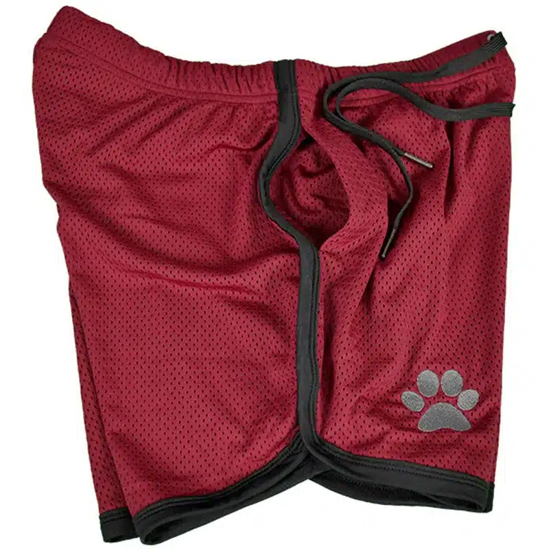 Mens summer new fitness shorts Fashion compression Fast drying gyms Bodybuilding Joggers shorts Slim fit clothing Sweatpants 34