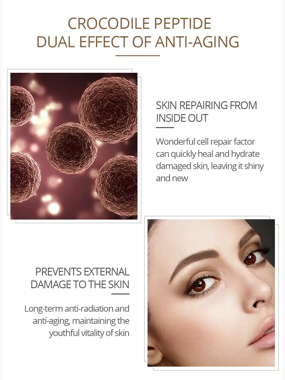 VIBRANT GLAMOUR Anti Wrinkle Eye Cream Moisturizing Remover Dark Circles Against Puffiness Bags Anti-aging Eye Care Fat Granule 17