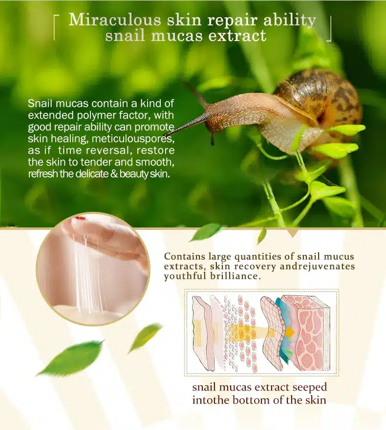 ARTISCARE Snail Repair Facial Cream Aging Aniti Oil-Control Face Cream Anti Wrinkle Shrink Pores Moisturizing Lifting Skin Care 16