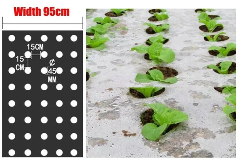 95cm*10m 5Holes 0.03mm Garden Vegetable Black Film Agricultural Plants Film Plastic Perforated PE Mulch Film Mulching Membrane 13