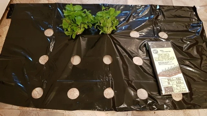 95cm*10m 5Holes 0.03mm Garden Vegetable Black Film Agricultural Plants Film Plastic Perforated PE Mulch Film Mulching Membrane 14