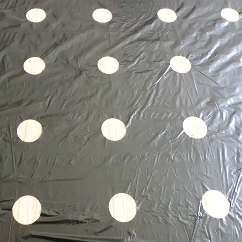 95cm*10m 5Holes 0.03mm Garden Vegetable Black Film Agricultural Plants Film Plastic Perforated PE Mulch Film Mulching Membrane 16