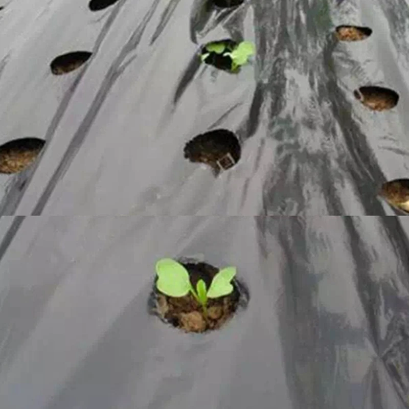 95cm*10m 5Holes 0.03mm Garden Vegetable Black Film Agricultural Plants Film Plastic Perforated PE Mulch Film Mulching Membrane 17