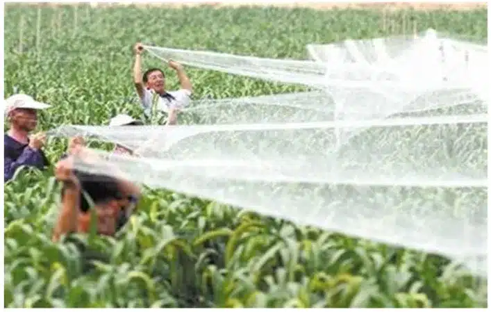 Tewango 2.5CM Grid Farm Garden Transparent Nylon Anti-bird Net Balcony Fruit Tree Safety Protect Pond Crops Plant Cover Mesh 11