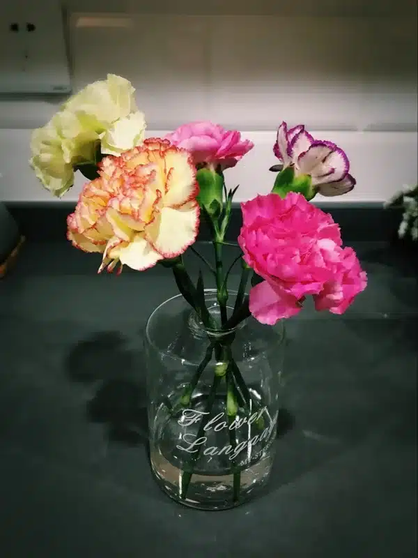 Nordic Style Glass Mini Vase Wedding Decoration Flower Vase Container Vaso Home Decor Tabletop Glass Vase Garden Decor Planter 29