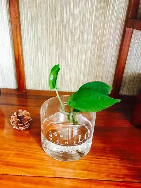 Nordic Style Glass Mini Vase Wedding Decoration Flower Vase Container Vaso Home Decor Tabletop Glass Vase Garden Decor Planter 33