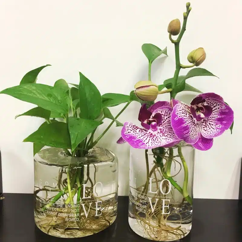 Nordic Style Glass Mini Vase Wedding Decoration Flower Vase Container Vaso Home Decor Tabletop Glass Vase Garden Decor Planter 35