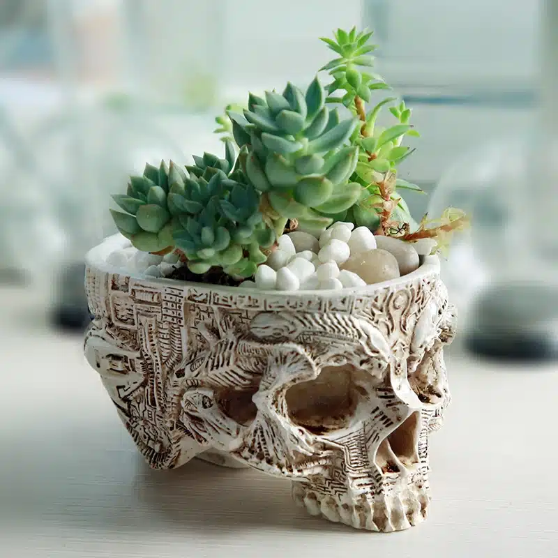 Hand Carved Skull Flower Pot Human Skull Bone Bowl Home Garden Decor Halloween Decoration 10