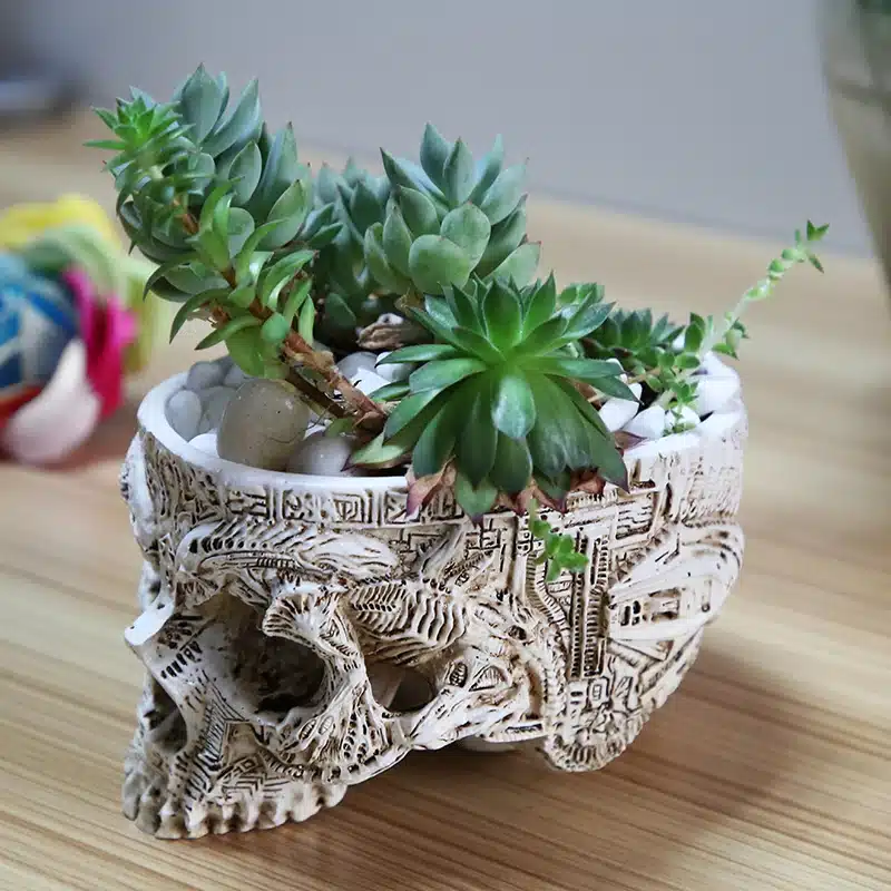 Hand Carved Skull Flower Pot Human Skull Bone Bowl Home Garden Decor Halloween Decoration 11
