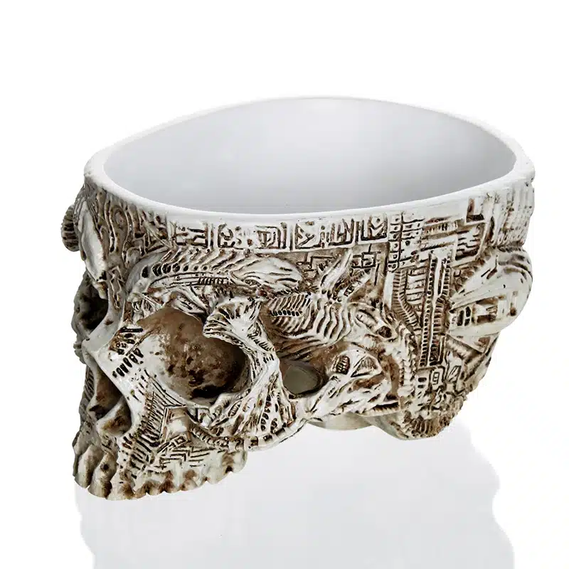 Hand Carved Skull Flower Pot Human Skull Bone Bowl Home Garden Decor Halloween Decoration 12