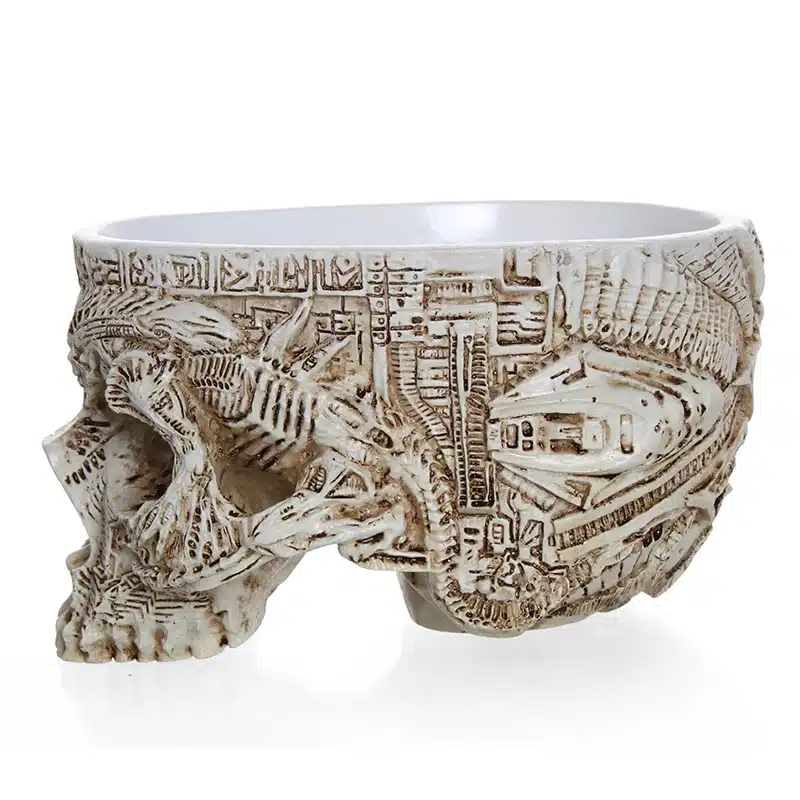 Hand Carved Skull Flower Pot Human Skull Bone Bowl Home Garden Decor Halloween Decoration 15