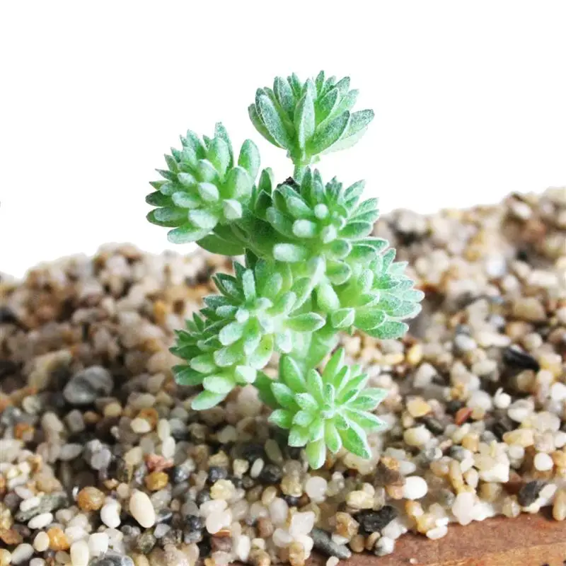 7PCS Artificial Succulent Party Decorative Fake Plant Faux Succulent Landscape Lotus Flower Arrange for Home Garden Table Decors 24