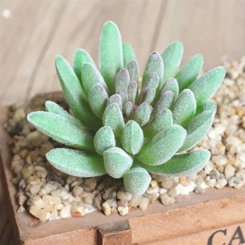 7PCS Artificial Succulent Party Decorative Fake Plant Faux Succulent Landscape Lotus Flower Arrange for Home Garden Table Decors 28