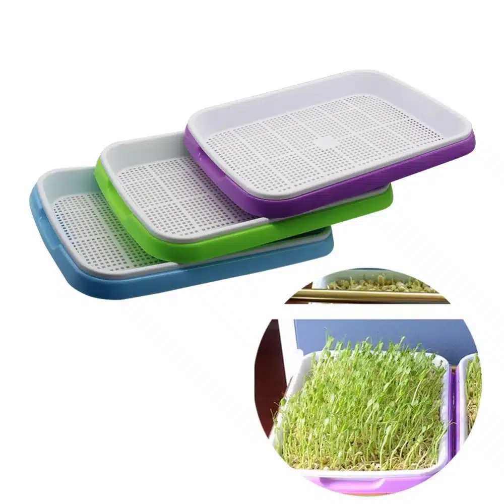 1 set Double Layer Bean Sprouts Plate Seedling Tray Planting Dishes Growing wheat seedlings Nursery Pots Home Garden plant tools 3