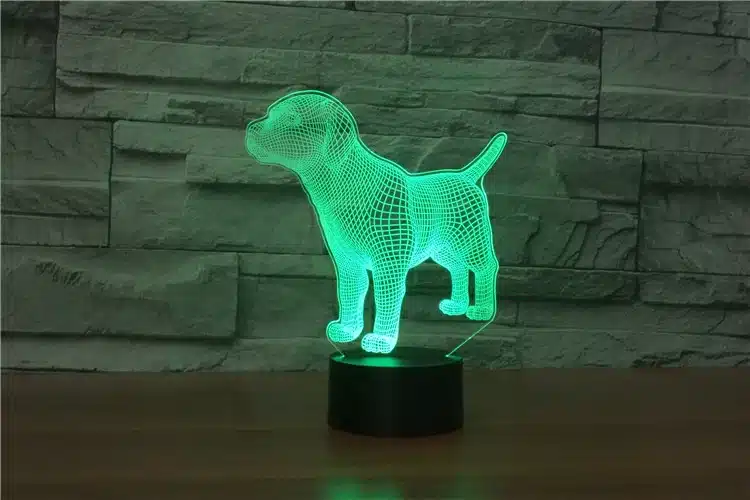 3D lamp 'Koer', mis kuvab kolmemõõtmelist koera LED-valgustusega rohelisel taustal, asetatud puidust lauale kiviseina ees.