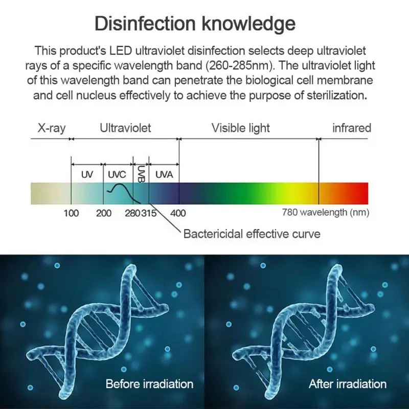 UV-kiirguse lainepikkuste diagramm ja DNA molekulid enne ja pärast kiiritamist