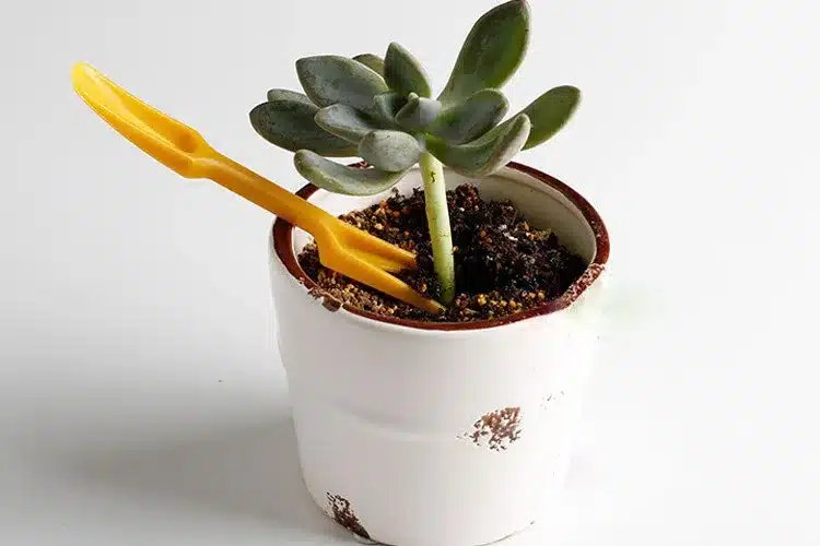 Special 2pcs Mini Garden Tools Shovel + Catalpa Plant Transplantation Garden Planting Tools Flower Potted Products 19